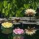 DAZZTIME Lotus Laterne,2 Stück Schwimmende Lotuslichter,Solarlampen für Außen,Solar Lotusblüte,Schwimmende Teichdeko,Nachtlampe Lotusblüte Lotusblatt Teichlicht,für Garten Hof,Schwimmbad