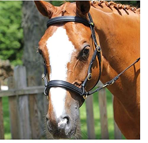 Bridón Protanner Bitless para caballo (COB, negro)