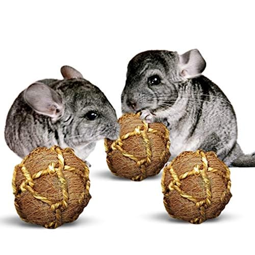 Image of SunGrow Assorted Rabbit & Cat Chew Balls, Teething Activity Toy for Pocket Pets, Improves Dental Health, Environment Friendly, Stress Reliever (Coconut Fiber, 3 Pcs)
