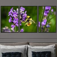 3 Piece Framed Canvas Wall Art Colorful Bee Insects Canvas Prints Home Artwork Decoration for Living Room,Bedroom - 16