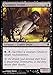 Magic The Gathering - Quagmire Druid (90/356) - Commander 2013