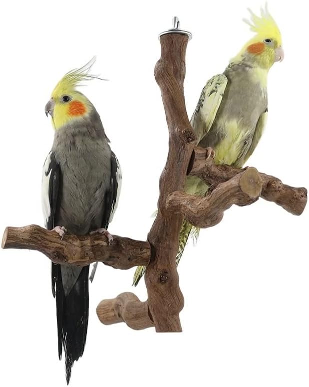 Parrot Playstand Grape Vine Tree Branch Parrot Bird Game Stand Rack Swing Bird cage Stand bar Grind Claw Stand Stick Perch Bird Playground