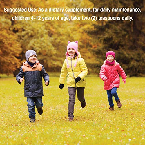 Natures Answer Sambucus Syrup Elderberry Kids Formula, 8 Ounce | Natural Immune Booster | Taste That Kids Love | Flu Season Support | Packed With Antioxidants #TOP3