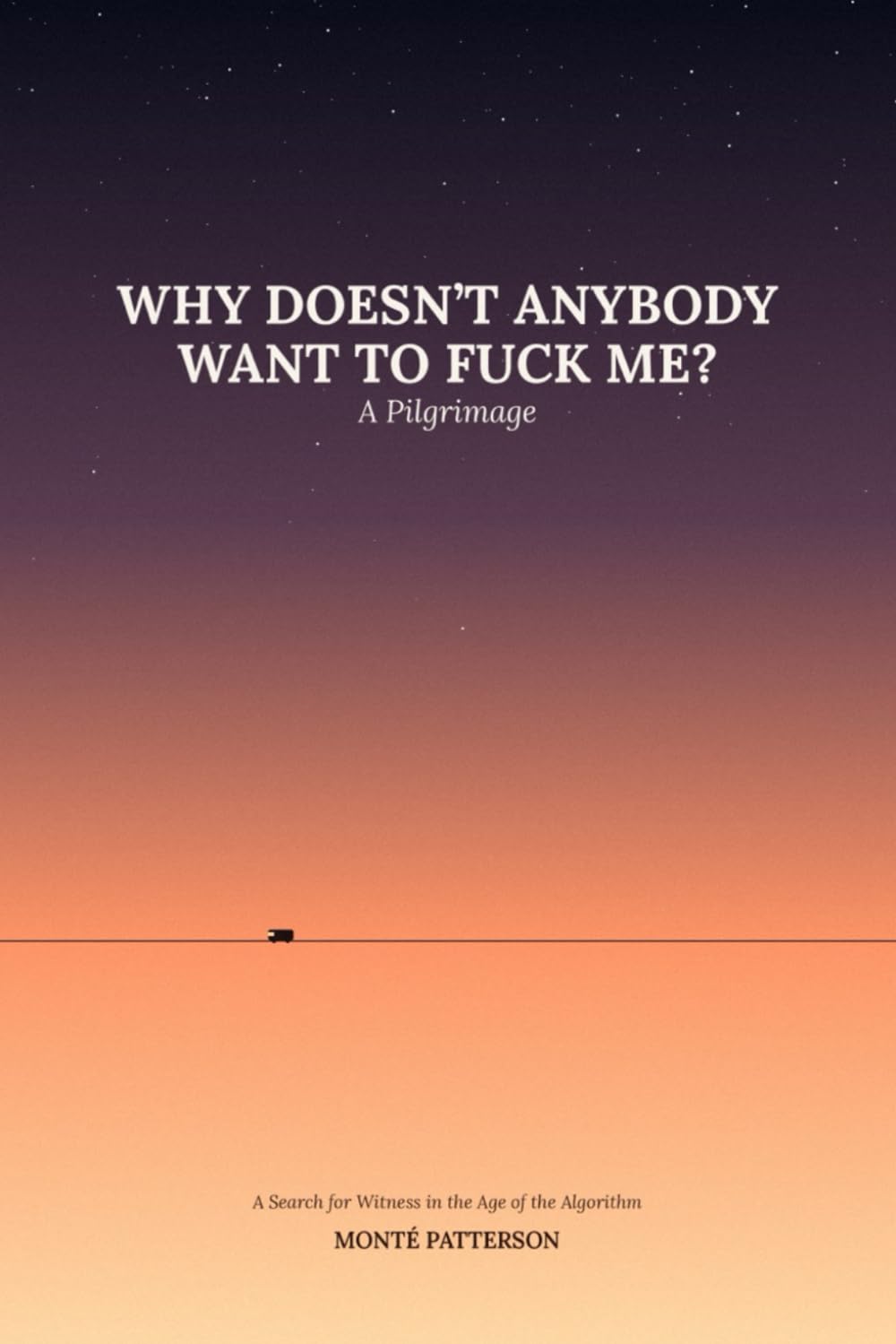 WHY DOESN'T ANYBODY WANT TO FUCK ME?: A Pilgrimage: A Search for Witness in the Age of the Algorithm