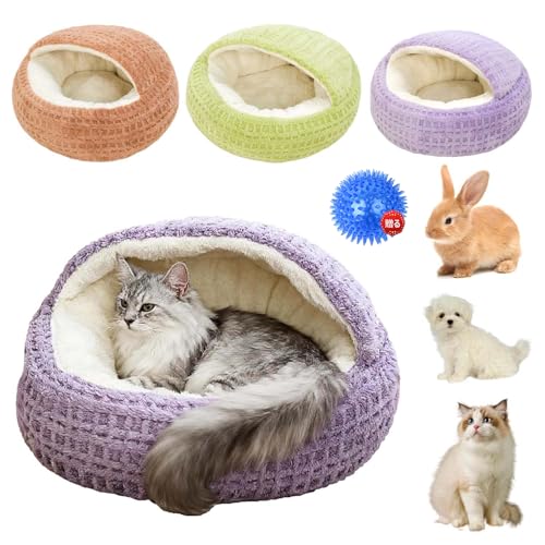 L xbh h[ ۉ ybgnEX h[^ ^ xbh ~ h t L nEX ^ g ybgNbV ӂӂ _炩 ybg}bg ~ 􂦂  ΍ ETM  Lp Q (O[,S)