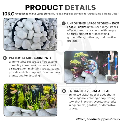 Image of Foodie Puppies Unpolished White Stone (5Kg, Large) (5cm-7cm) for Aquarium /Fish Tank, Garden, Swimming Pool, Pots, Home, Garden, and Lawn Decorative Pebbles /Marble (Pack of 2)