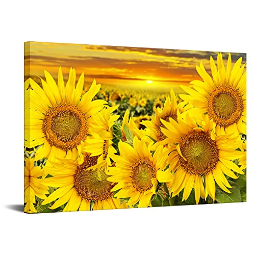 List of Ten Best Picture Frames Sunflower Top Picks 2023 Reviews