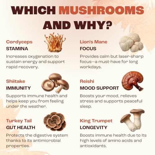 Image of RYZE SUPERFOODS Mushroom Medium Roast Coffee USDA Organic with 6 Adaptogenic Mushrooms, USA Grown Instant Coffee for Better Energy, Focus Digestion Immunity with Lions Mane & Turkey Tail 30 Servings