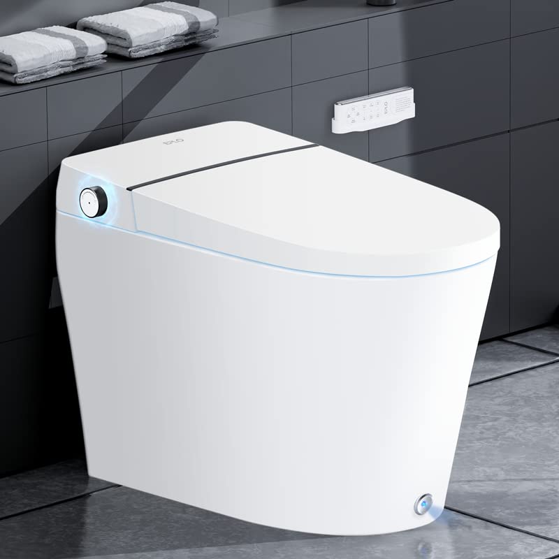 10 Best Toilet With Built In Bidet — Great Answer