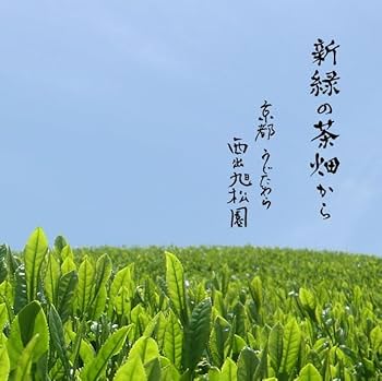 抹茶 有機抹茶 40g 抹茶パウダー オーガニック抹茶 高級抹茶 抹茶ラテ
