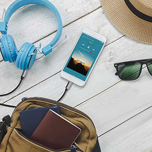 Câble audio stéréo TRS Lightning vers 6,35 mm pour iPhone table mixage et ampli - 6