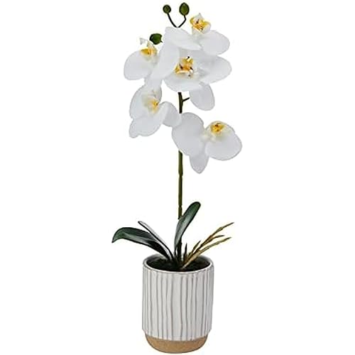 Mikasa Artificial Orchid in Pot, Real Touch Phalaenopsis Orchid, Cream Glaze Ceramic Pot, 16-Inch Single Branch, White/Yellow