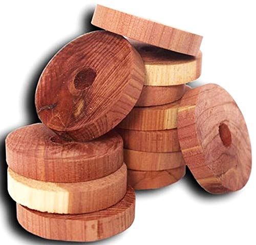 CEDAR RINGS 12 PACK