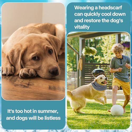 Kühlhalsband für Hunde, Kühlendes Hundehalstuch, Kühlender Hundeschal, Kühlendes Hundehalsband Kühlend, Kühltuch Hund Halstuch Kühlend, Bandana Hunde Halstücher Kühlend, für Kühlung Hund im Sommer