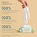 The Honest Company Plant-Based Snot Removing Wipes | Soothing Nose + Face Wipes with Aloe | Hypoallergenic for Sensitive Skin, EWG Verified | Fragrance Free, 60 Count