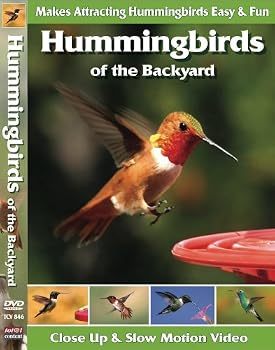 DVD Hummingbirds of the Backyard Book
