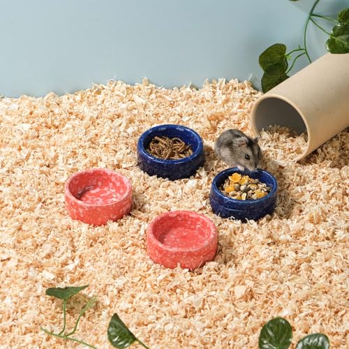 VanEnjoy 2 Pack Ceramic Guinea Pig Food Bowl Dotted Pattern Small Animal Feeding and Watering Supplies for Cage Cute Navy Blue Hamster Water Dish for Chinchilla Ferret Bunny - Image 4