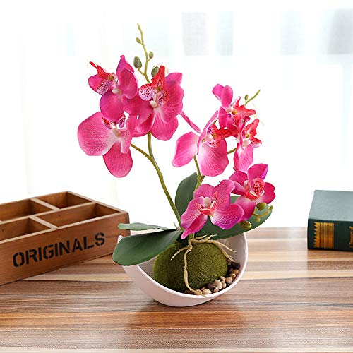 Sanqing Artificial orquídea Bonsai Falso Flores con florero en Maceta Planta de Simulación Phalaenopsis Home Decor Interior Exterior Oficina Artificial Planta (1 Paquete),Rosered