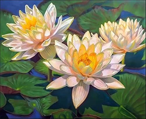 Kit broderie diamant complet nénuphar 5D point de croix 30x40