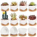 Foraineam 12 Pack Mini Succulent Planter Pots, Small Ceramic Cactus Planters White Plant Flower Pots with Bamboo Tray for Herbs, Seeds, Beans, Cacti, Succulents