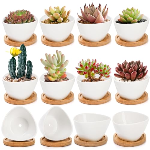 Foraineam Pacote com 12 mini vasos de suculentas, pequenos vasos de cerâmica para cactos, vasos de f