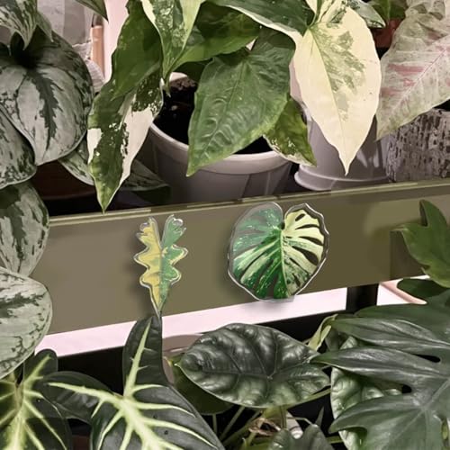 Imanes decorativos para nevera plantas hoja 10 unidades miniatura 3