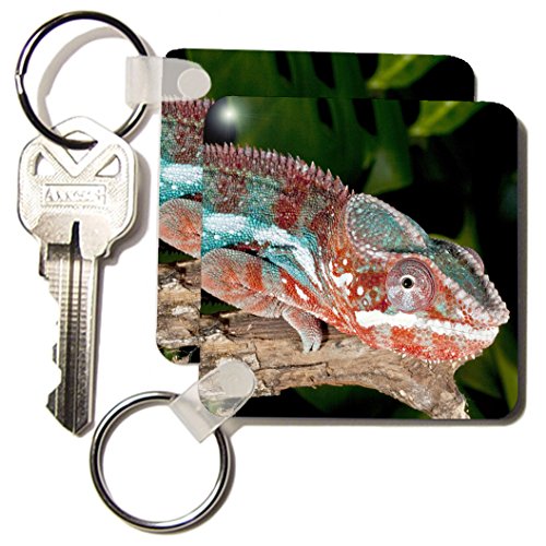 Porte-clés lézard caméléon arc-en-ciel 3drose avec impression photo double face