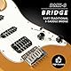 EART E-Gitarre DMX-9, 6-saitige Tremolo Bridge, Humbucker Pickups, Solid Body, 5-Wege Schalter Gitarren (Gold)