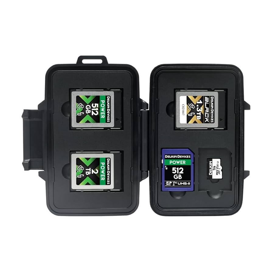 Amazon.com: Delkin Devices CFexpress Type B, SD and microSD