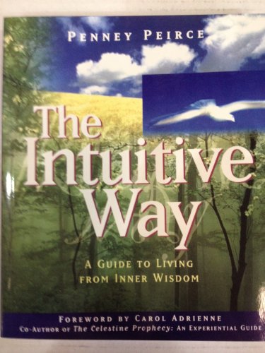 Intuitive Way view 2