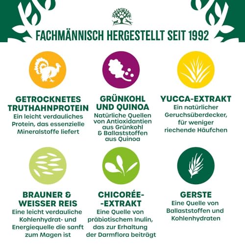James WELLBELOVED Superfoods 1,5kg Hund Trockenfutter Truthahn mit Einer Mischung aus Grünkohl und Quinoa