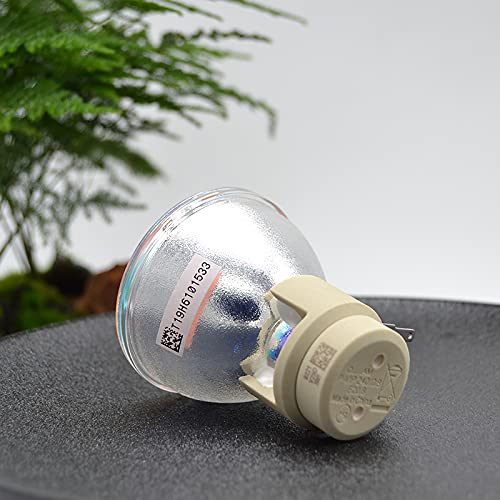 Lampe P-VIP 240/0.8 E20.8 haute luminosité pour projecteur - 3