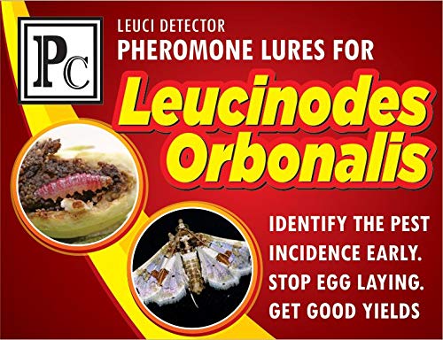 Pheromone Traps and Lures - Complete Set - for Leucinodes orbonalis (Brinjal Fruit and Shoot Borer) - (Qty: 100 Nos) (B01HA9YGAI) Amazon Price History, Amazon Price Tracker