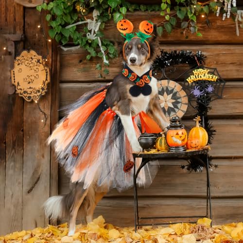 Disfraz Halloween para perro mediano 3 piezas miniatura 7