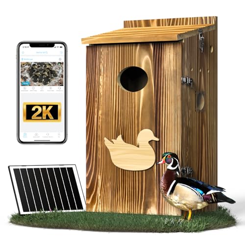 Wood Duck House with Camera Solar Powered 4G Cellular Anti-Corrosion Varnish Cedarwood Wood Duck Box Ready to Install 2K HD Instant Alerts Ducks Nesting Box for Pond WetlandNOT WiFi