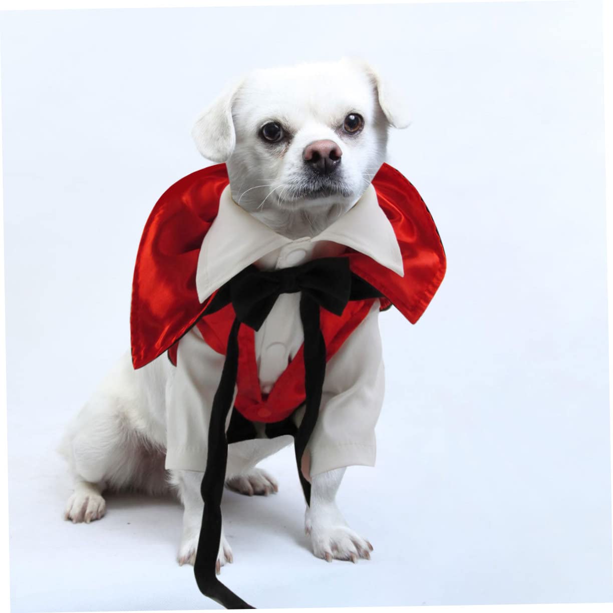 Angoily 2pezzi Costume Per Cani Halloween Vestito Da Vampiro Con Mantello Abbigliamento Per Animali Domestici Taglia Per Festeggiare La Notte Delle Streghe