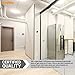 Sunlite 05030 FC12T9/CW T9 Round Fluorescent Circline Lamp, 32 Watts, 2100 Lumens, 4100K Cool White, RoHS Compliant, G10Q 4-Pin Base, 1 Pack