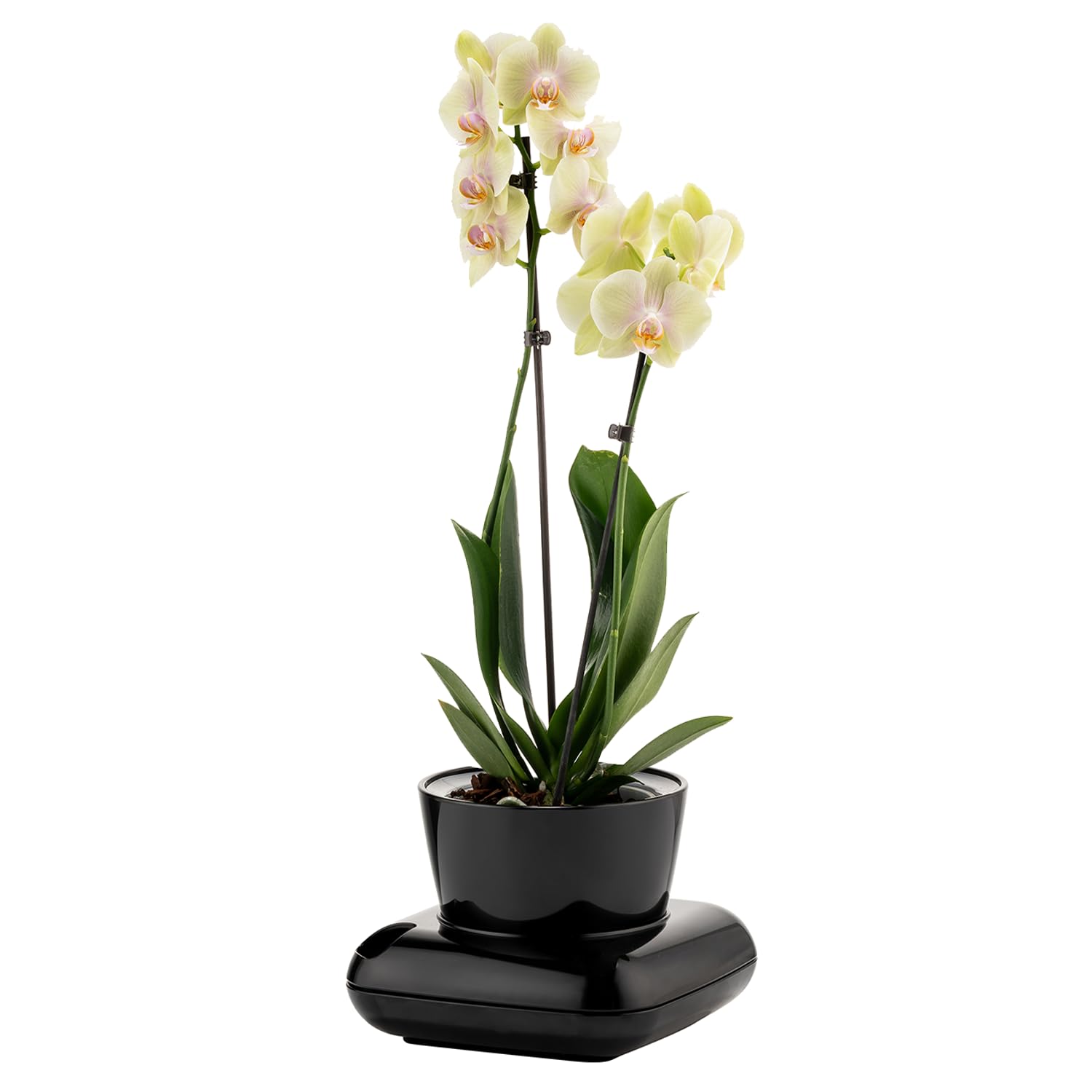 alqua 19CM Self Watering Plant Pots – Black Plastic Flower Pots with Drainage – Modern Glossy Planters for Indoor & Outdoor Plants – Large Garden Pots – Elegant Plant Containers
