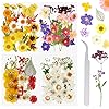 127 Stuks Echte Gedroogde Geperste Bloemen Wikay Natuurlijke Bloemen Geperste Bloem Blad Voor DIY Hars Sieraden Maken…