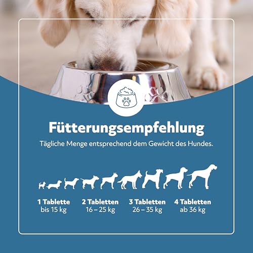 balumed® 120 Ruhe+Entspannung Tabletten für Hunde bei Angst und Stress mit Hanfpresskuchen, Hanföl kaltgepr., Magnesium, Baldrian, Kamille, Hopfen