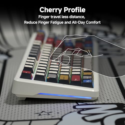 Image of 137 Versatile PBT Keycaps, No Tearing, Never Fade & Non-Slip, Vibrant RGB Backlit Keycaps for Mechanical Keyboard (Typing, Gaming, Anime Passion) Ergonomic (Doubleshot MX, Fit All Layout)