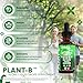 Vitamin B Complex Liquid Drops | Thiamine B1, B6, B2, B3, B4, B5, B7 B9, B12, Niacinamide, Paba, Choline Inositol Taurine Probiotics Beet Root Spirulina - Plant-B Vitamin Supplements by Clean Nutra