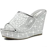 Allegra K Women's Glitter Platform Wedges Slip on Wedge Silver Slide Sandals - 8.5 M US Allegra K Women's Glitter Platform Wedges Slip on Wedge Silver Slide Sandals - 8.5 M US