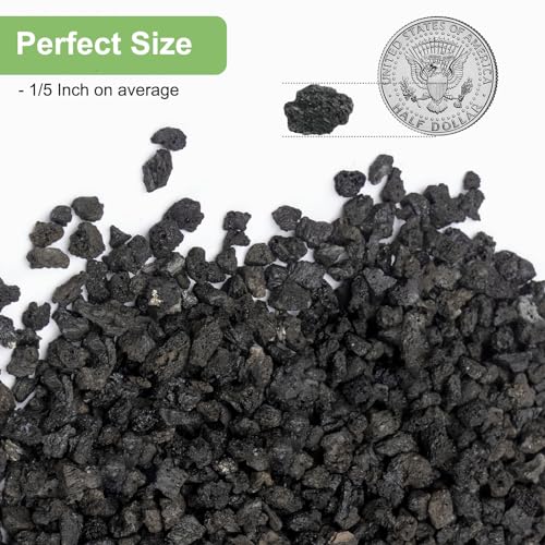 Image of 5 lbs Pebbles for Indoor Plants, Succulent, Cactus, 1 /5 Inch Small Lava Rock for Plants Drainage, Natural Horticultural Volcanic Rock, Top-Dressing