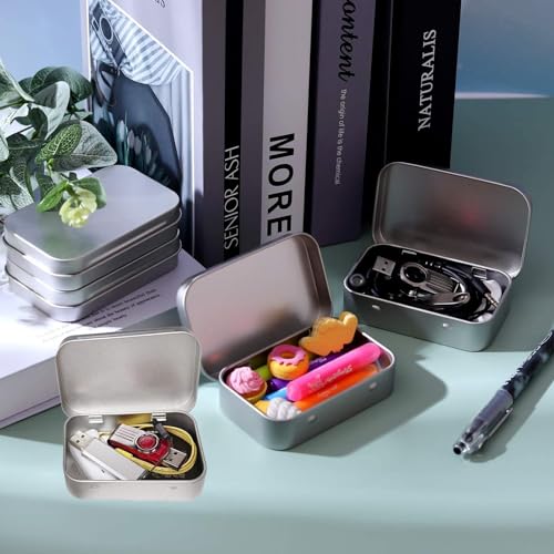 SSHUIKKAI 2 Stück Blechdose Mit Deckel, Metallbox Klein, Metalldose Mit Deckel, Blechdosen Mit Deckel, Metalldöschen Kleinen, für Süßigkeiten Und Kleinen Gegenständen(Silber)