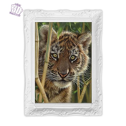 3D Livelife Lenticular Wall Art Prints - Discovery From Deluxebase. Unframed 3D Tiger Cub Poster. Perfect Wall Decor. Original Artwork Licensed From Renowned Artist, Collin Bogle #TOP3