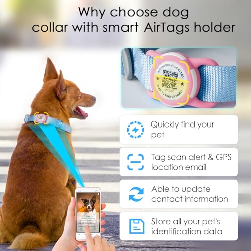 ADVENTUREMORE Airtag Nylon Dog Collar fits Different Size Dogs with a QR Code tag, preventing Dog from Getting Lost at Night, and Recording Dog Details. It can Call and Address The Owner-Teal-Large ADVENTUREMORE Airtag Nylon Dog Collar fits Different Size Dogs with a QR Code tag, preventing Dog from Getting Lost at Night, and Recording Dog Details. It can Call and Address The Owner-Teal-Large