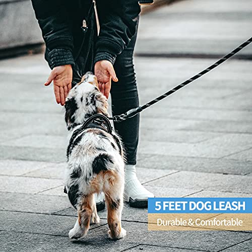 BAAPET 2/4/5/6 FT Dog Leash with Comfortable Padded Handle and Highly Reflective Threads for Small Medium and Large Dogs… - Image 7