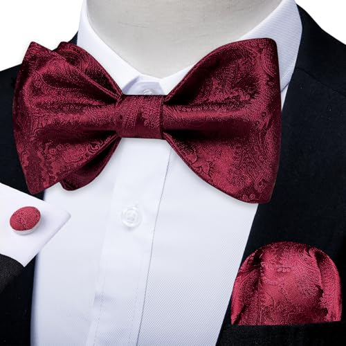 Image of DiBanGu Men Bow Tie Paisley Striped Self-Bow Tie for Men and Silk Woven Bowtie Pocket Square Cufflinks Wedding Party