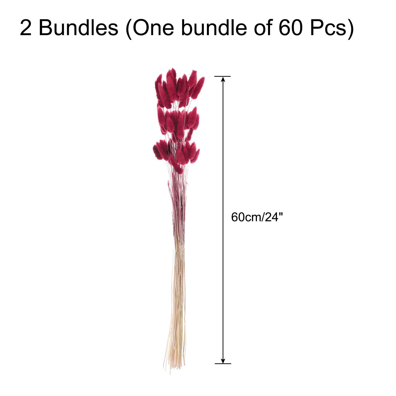 QUARKZMAN 120pz Fiori Secchi con Code di Coniglio Naturali 24" Mini Mazzo di Erba di Pampa Lagurus Ovatus per Decorazioni Floreali Matrimonio Natale, Prugna Viola